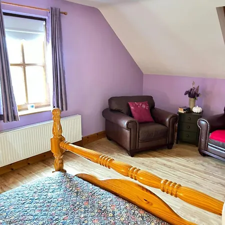 Ballytigue House Homestay Clarecastle