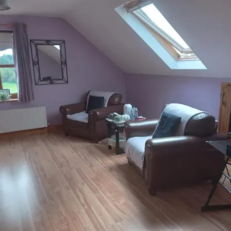 Homestay Ballytigue House Clarecastle