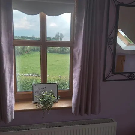 Ballytigue House Homestay *