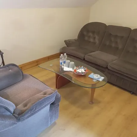 ホームステイ Ballytigue House