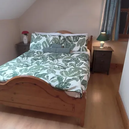 בית אירוח Ballytigue House *