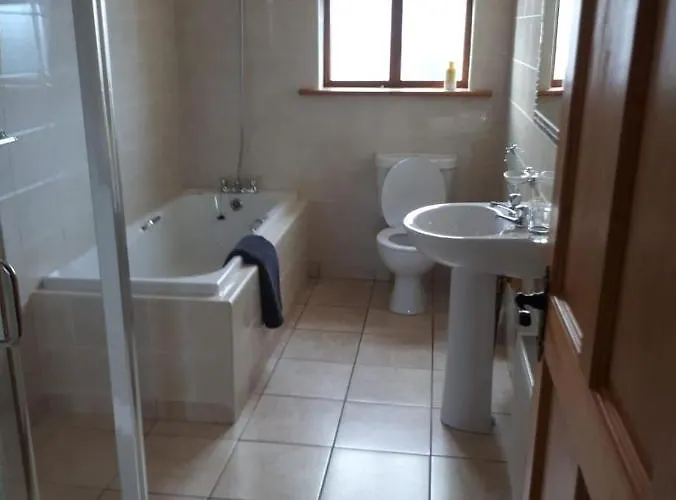 בית אירוח Ballytigue House אניס