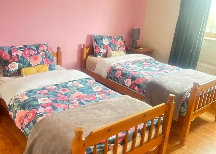 בית אירוח Ballytigue House אניס