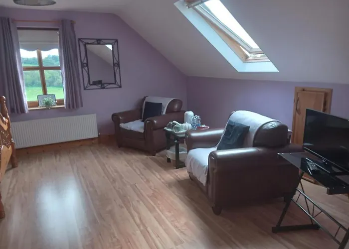 בית אירוח Ballytigue House אניס