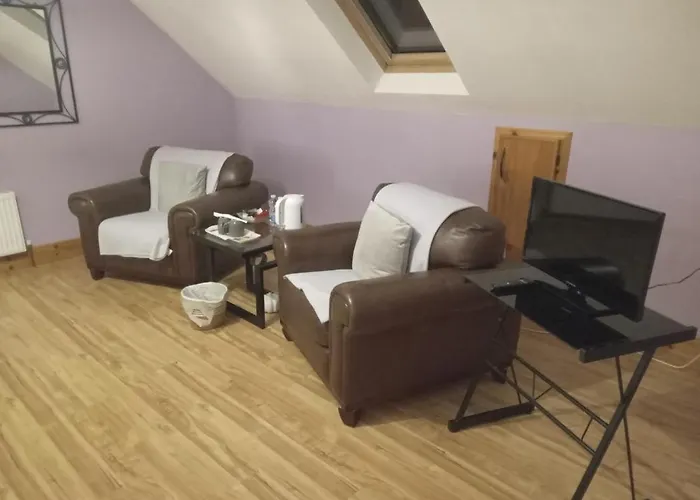 Homestay szállás Ballytigue House *