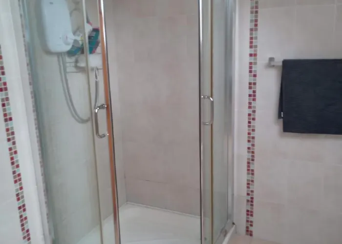 בית אירוח Ballytigue House אניס